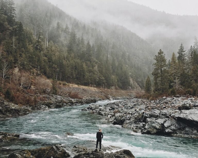 Sed varius ligula vel aliquet fermentum Sed varius ligula vel aliquet fermentum