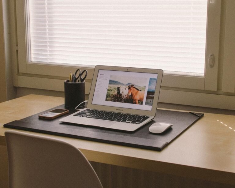 Dara Muscat Presents: Favs of Favs Dara Muscat Presents: Favs of Favs