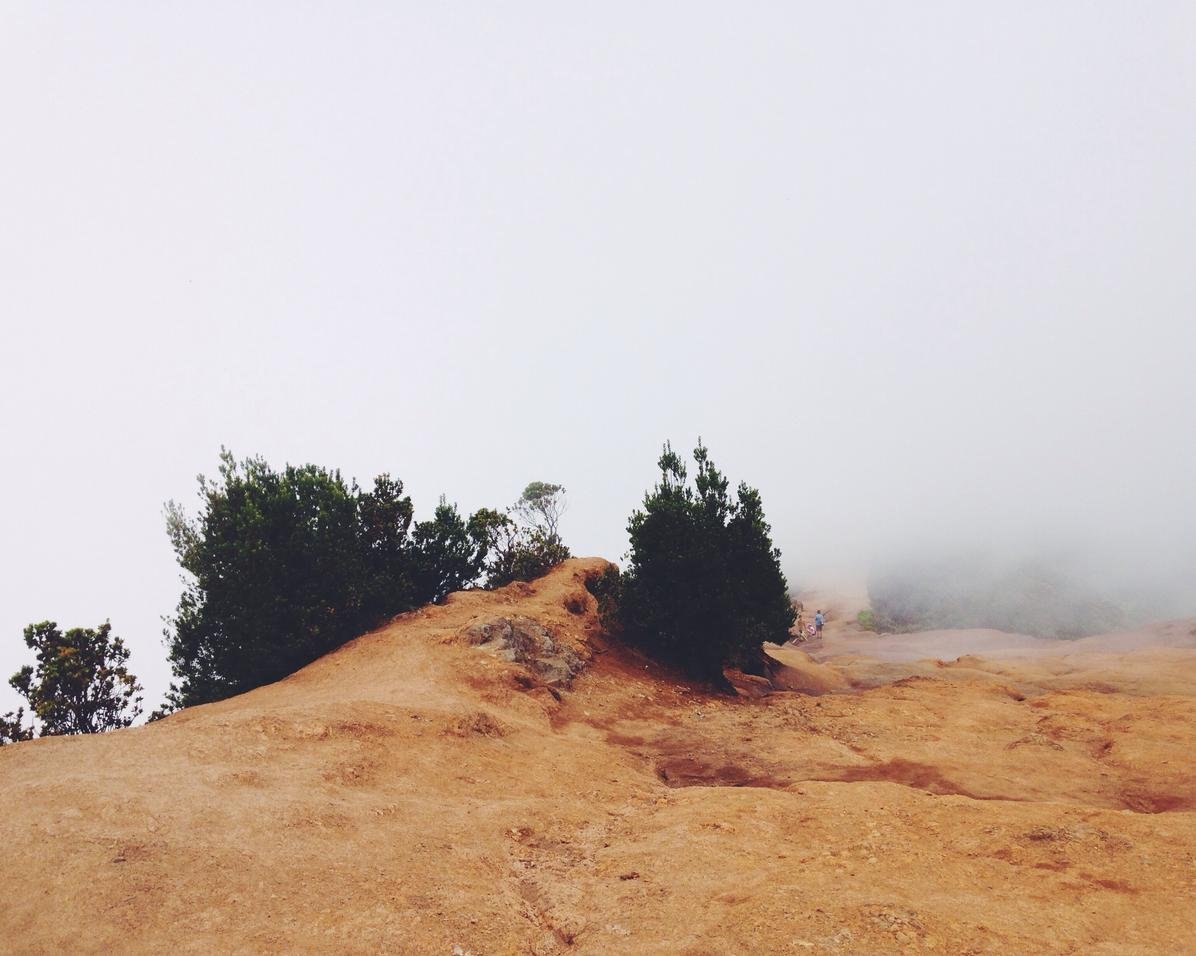 Adidas expects normalis strong growth Adidas expects normalis strong growth